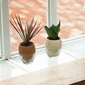 ݂Ă܂ 2Zbg ϗtA ȒP TCY ChAO[  v[g Mtg 킢  12cm TXxA TfA[i