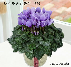 y|Cg3{z VN  y1210肨͂z u[ k| {[ ʋ Ă₷ Ε ~̉ Mtg