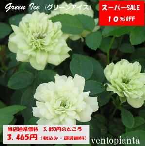 yyVX[p[Z[10OFFz ~jo O[ACX o 3 4Zbg Yn K[fjO oc 󏭂ȃo tJԋx