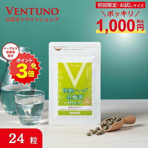 C[OX10OFFI֔ C֒̕̕ʉP n[u_ 24 Tv _ Tvg @\\Hi ~l ֒ P tRC_ ֒ʉP A~m_ r^~  