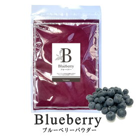 ブルーベリーパウダー 着色料 保存料 無添加 フルーツパウダー お菓子用 ドライ 製菓用 果汁パウダー 菓子 食品 ペット用 犬 猫 ヴィーナース