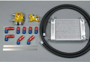 HPI EVOLVE ėpTCh^NICN[[Lbg SR20 ICGgړ^Cv W1 A]^Cv (HPOCE-W1SR20)