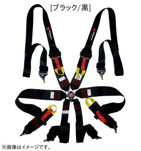 6点式 シートベルト 公認」の人気商品一覧 | 安い商品を通販サイトから 