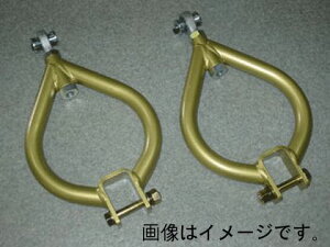 �C�P���t�H�[�~���� IKEYA FORMURA ���A �L�����o�[�A�W���X�^�[ �A�b�p�[�A�[�� �|�W�^�C�v ���Y �X�J�C���C�� GT-R BNR32 (IFAG08001)