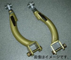 �C�P���t�H�[�~���� IKEYA FORMURA ���A �L�����o�[�A�W���X�^�[ �A�b�p�[�A�[�� ���Y �X�J�C���C�� GT-R BCNR33 BNR34 (IFAG08002)