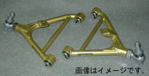 �C�P���t�H�[�~���� IKEYA FORMURA �A�W���X�^�[ ���A �����A�[�� ���Y �X�J�C���C�� GT-R BCNR33 BNR34 (IFAO16004)