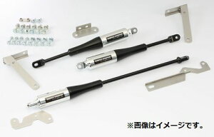 �y�l����\�z SARD �T�[�h SARD DAMPER SARD×AISIN �_���p�[ TOYOTA �g���^ �J���[�����r�� �X�v�����^�[�g���m AE86 �t�����g1�{ ���A1�{ (86715)