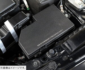 yl\zHKS CARBON FUSE BOX COVER J[{ q[Y{bNX Jo[ HONDA z_ VrbN ^CvR FL5 K20C (70026-AH014)
