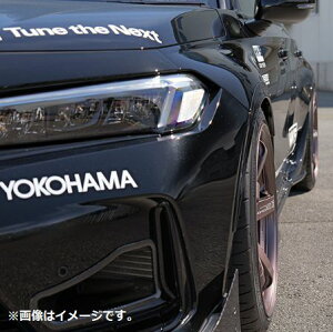 yԊ֘AƎҒzHKS Fender Molding tF_[[ HONDA z_ VrbN ^CvR FL5 K20C 22/09 - (53004-AH005)