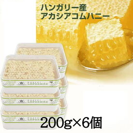 【送料無料：200g×6個セット】コムハニー / 巣蜜 ハチミツ / はちみつ / ハニカム / ハニーコム / 巣みつ / 蜂蜜 / 蜂の巣 / ハチノス / 蜜蝋 / ハニー【賞味期限 2030年3月】鉄腕ダッシュ 鉄腕DASH ミツバチ 新宿DASH 母の日 コムハニー ギフト