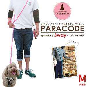 yMTCYF肪g 3Way nYt[ [hz(^`^pF̏d8Lʂ܂)Type 2 ybgpi  V_[[h | ΂ߊ| @\ U WMO Vv goldenmama 