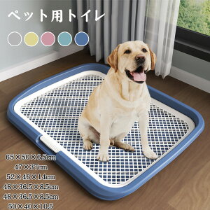 pgC ybggC ^ ybg bV gC pgCg[ ~ ybgpi gC 65cm×50cm ̃gC g[jO ȒP R }[LO|[t