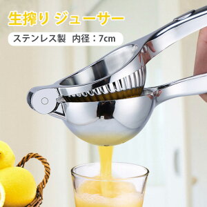 kވ ʏ`i i背ƃCJb^[ t[cʏ` O[vt[ci i nhW[T[ XeX IWW[T[ 蓮 lC 