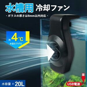 y1`2Ŕz @ ^ pN[[ N[[ USB t@p 2xʒ tȒP ᑛ ih~ p ʒ߉\ 2x USB č