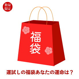【最大15％OFFクーポン★月中猛ダッシュ！】【福袋 ガジェット ランダム】サプライズ体験 20〜100点入り 大容量セット 充電器 イヤホン データケーブル 雑貨 詰合せ コスパ抜群 運試し お楽しみボックス