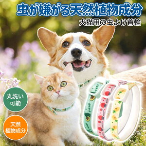 ybgph Lp 悯J[ VRf hp S 悯 􂦂 yʃTCYR h AEghA p m~_j\h A EȒP ɂȂ VR 