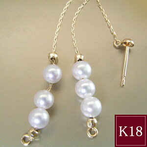 2Way {^  AR sAX K18 18 h sAX p[sAX iAT-011@2cƓO̔\