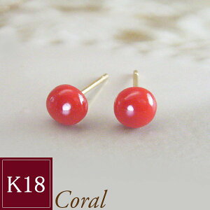 ԎX K18 sAX  X 18 ~ v[g  iku-003 2cƓO̔\ sd