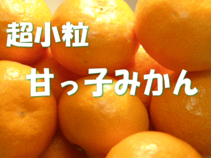 楽天市場】香川 甘っこ小粒みかん2．5Kg 2箱購入で送料無料 3箱