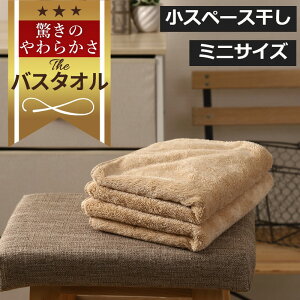 タオル 干し コンパクトの人気商品 通販 価格比較 価格 Com