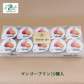 ベルジェ・レコルテ マンゴープリン10個入 マンゴー 洋菓子 ゼリープリン シャーベット お取り寄せスイーツ プレゼント お返し 御中元御歳暮 プチサイズ