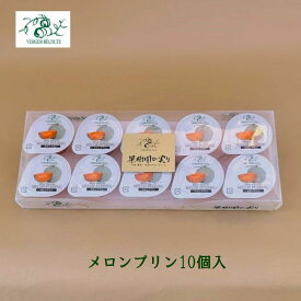ベルジェ・レコルテ メロンプリン10個入 メロン 洋菓子 ゼリーシャーベット お取り寄せスイーツ プレゼント お返し 御中元御歳暮 プチサイズ