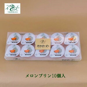 xWFERe v10  mَq [[V[xbg 񂹃XC[c v[g Ԃ 䒆Ε v`TCY