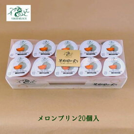 ベルジェ・レコルテ メロンプリン20個入 メロン 洋菓子 ゼリーシャーベット お取り寄せスイーツ プレゼント お返し 御中元御歳暮 プチサイズ