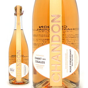 Vh V f VK ubg [ Ȃ Ki 750ml G G VhI[XgA Xp[NOC [A RNh C ^VLMC22Z0^