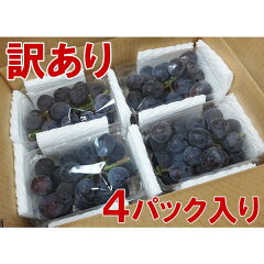 ご注文より14日以内に発送岡山産・種なし「ニューピオーネ」訳あり品2kgご自宅用500g×4箱入り数量限定岡山県新見市哲多産草月葡萄園^YYNP02B2^