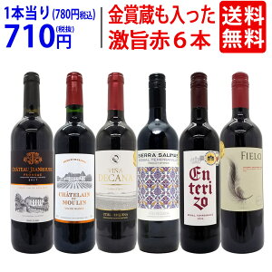 ワイン ワインセット高評価蔵や金賞蔵も入った激旨赤6本セット 送料無料 飲み比べセット ギフト ^W0AHJ3SE^
