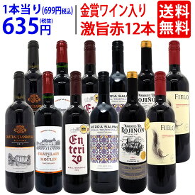 ワイン ワインセットワイン誌高評価蔵や金賞蔵ワインも入った激旨赤12本セット 送料無料 (6種類各2本) 飲み比べセット ギフト ^W0AKC2SE^