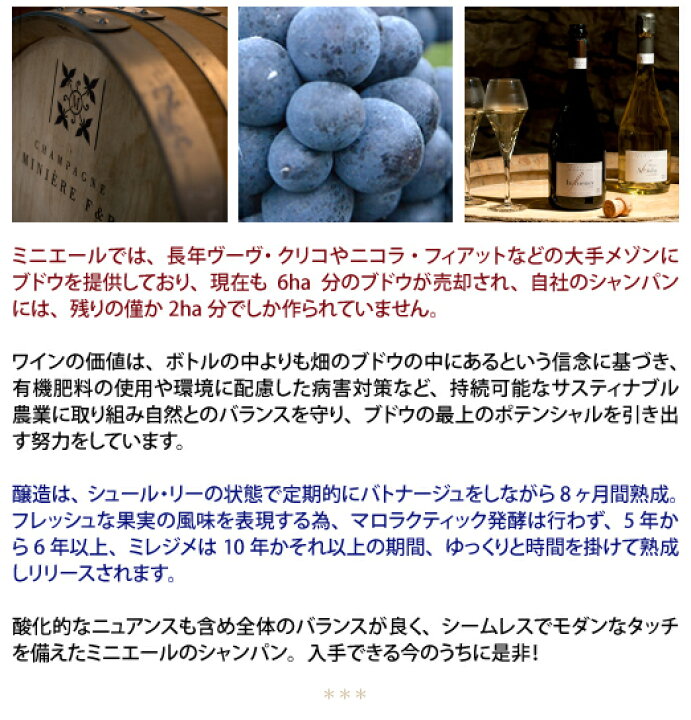 楽天市場】シャンパーニュ ミニエール アンフリュアンス ブリュット 箱 