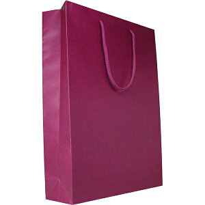  C2{p 񂰑 GW C ^GIFTKF02^