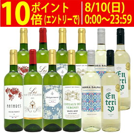 ワイン ワインセットワイン誌高評価蔵や金賞蔵ワインも入った辛口白12本セット 送料無料 (6種類各2本) 飲み比べセット ギフト ^W0ZSA6SE^