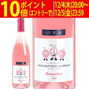 G [2025] ボジョレー ヌーヴォー V.V. ロゼ 750ml ドメーヌ ジャン バディスト デュプレイ ≪航空便≫ベルトラン デュ…