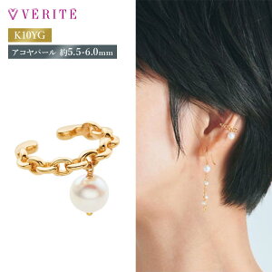 K10YG K10 10  ARp[ p[ {^ ^ AR  p[ AR^ ^ ꗱ 嗱 ꗱp[ C[Jt ANZT[ fB[X WG[ 111708070018