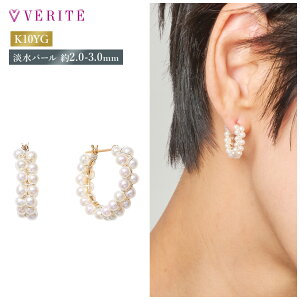 K10YG Wp[ t[vsAX p[ ^ ANZT[ fB[X WG[ 105208070013