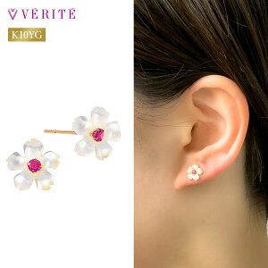 K10YG K10 10  zCgVF / r[ sAX ANZT[ fB[X WG[ 130508060505