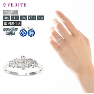 PT950 v`i H&C _Ch O _ChO w 10 11 12 13 14 ANZT[ fB[X WG[ 119008020374