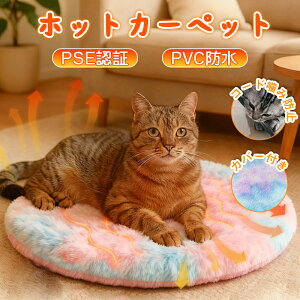 _Jo[t^ybgpzbgJ[ybg ybgq[^[ L 45×45cm 45×70cm h dCѕz x ^C}[@\t dM}bg PESF ybg}bg ybgѕz dCq[^[ q[^[