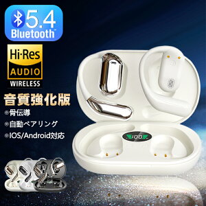 _N[|2,189~hV̓^CXCz I[vC[^ u[gD[X bluetooth5.4 Cz` ƊEgbv hCo[ J^ | ǂȂ`C
