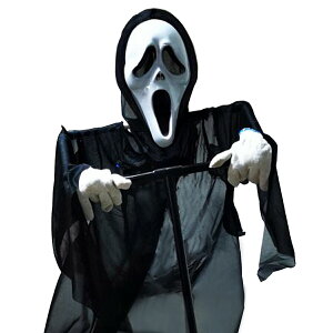 VeroMan nEB XPg  fR[V  œ O/ ~ ΂  p[eB[  w