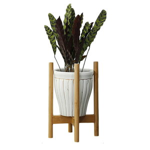 [36cm] VeroMan |bgX^h WOX^h EH[^[X^h t[X^h | a30cm  Aؔ K[fjO AEghA