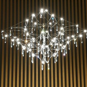 VeroMan Cg VfA y_gCg V[OCg Ɩ ԐڏƖ Jt Vv _ g ؍CeA@vzH