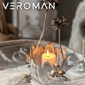 VeroMan LhX^h C [\N Ș@̉ ACAA[g̒LhX^h AeB[NfUC ؍CeA [33cm×20cm]