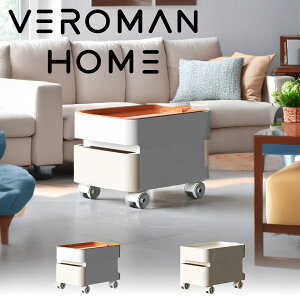 VeroMan @\LX^[t[S RpNg݌v rO[ ؍CeA [34cm×45.5cm]