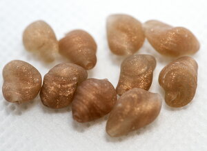 xl`Ar[Y |eg AFgD[iE 10~×5~ 10 r[Yp[c r[YANZT[