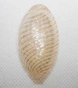 ベネチアンビーズ レーシー ソフィアート オーバルスキアッチャータ ホワイト/アヴェントゥリーナ ビーズパーツ アクセサリーパーツ