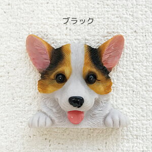 R[M[ XCb` EH[XebJ[ ANZT[ IuWF RZg  ybg XCb`fR[V G~[X^C emilystyle